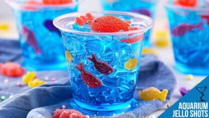 Aquarium Jello Recipe – Fun, Fruity, and Ocean-Themed