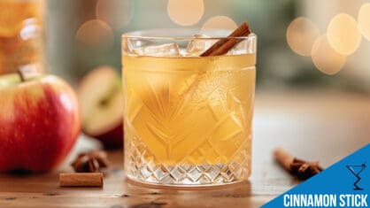 Cinnamon Stick Cocktail Recipe - Simple, Spiced, and Refreshing