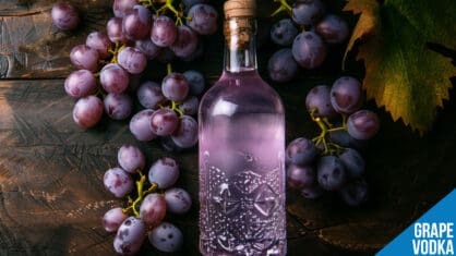 Grape Vodka Cocktails – Fruity, Bold Drinks Bursting with Flavor