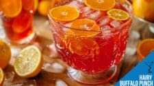 Hairy Buffalo Punch Recipe | Food & Drinks Cocktail & Drink Recipes