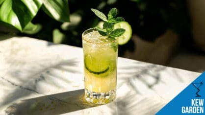 Kew Garden Cocktail Recipe – Floral, Refreshing, and Crisp