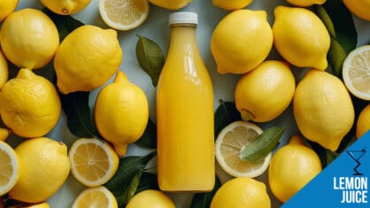 Lemon Juice Cocktails: Bright, Zesty Drinks Packed with Citrus Flavor