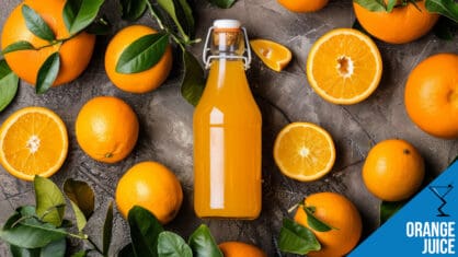 Orange Juice Cocktails: Fresh, Citrusy Drinks Perfect for Any Occasion