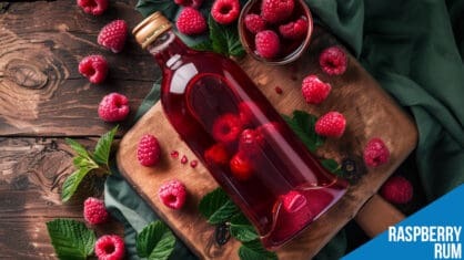 Raspberry Rum Cocktails – Sweet, Fruity Drinks with a Berry Twist