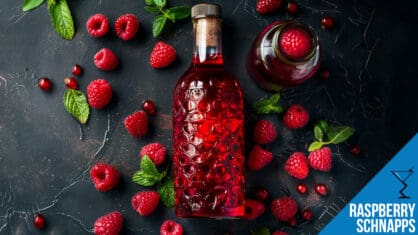 Raspberry Schnapps Cocktails: Sweet, Fruity Drinks with a Juicy Raspberry Punch