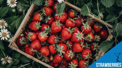 Strawberry Cocktails: Sweet, Fruity Drinks with a Fresh, Juicy Twist