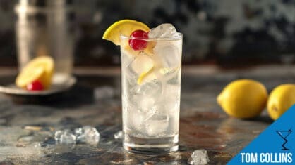 Tom Collins Cocktail